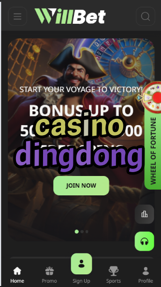 Casino Dingdong - Asian Arcade-Style Casino-casinoorder.vip
